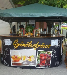 froccsterast_1